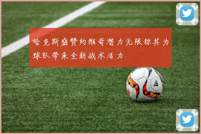哈克斯盛赞约维奇潜力无限称其为球队带来全新战术活力
