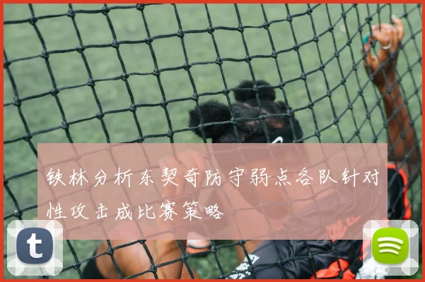 铁林分析东契奇防守弱点各队针对性攻击成比赛策略