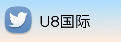 U8国际 Logo
