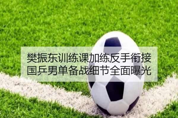 樊振东训练课加练反手衔接 国乒男单备战细节全面曝光